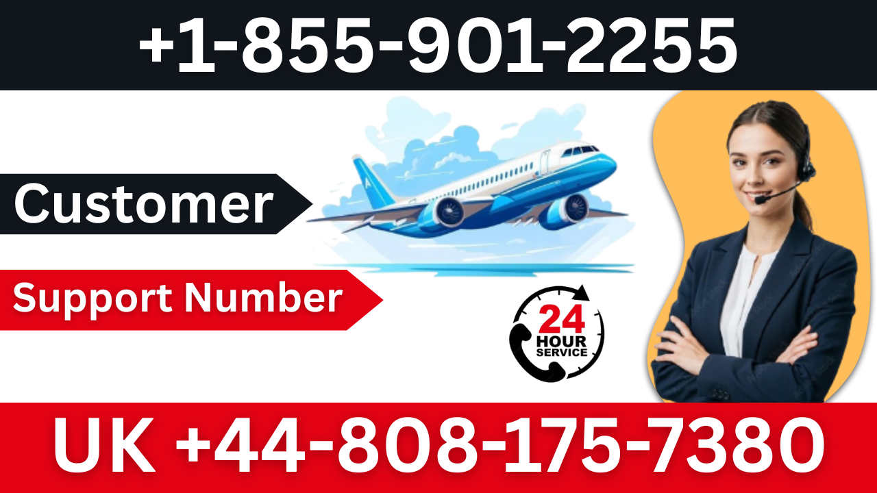 {Qatar Airways&reg;} Official Customer Service Desk || 24&times;7 Live Support &amp; Assistance Process